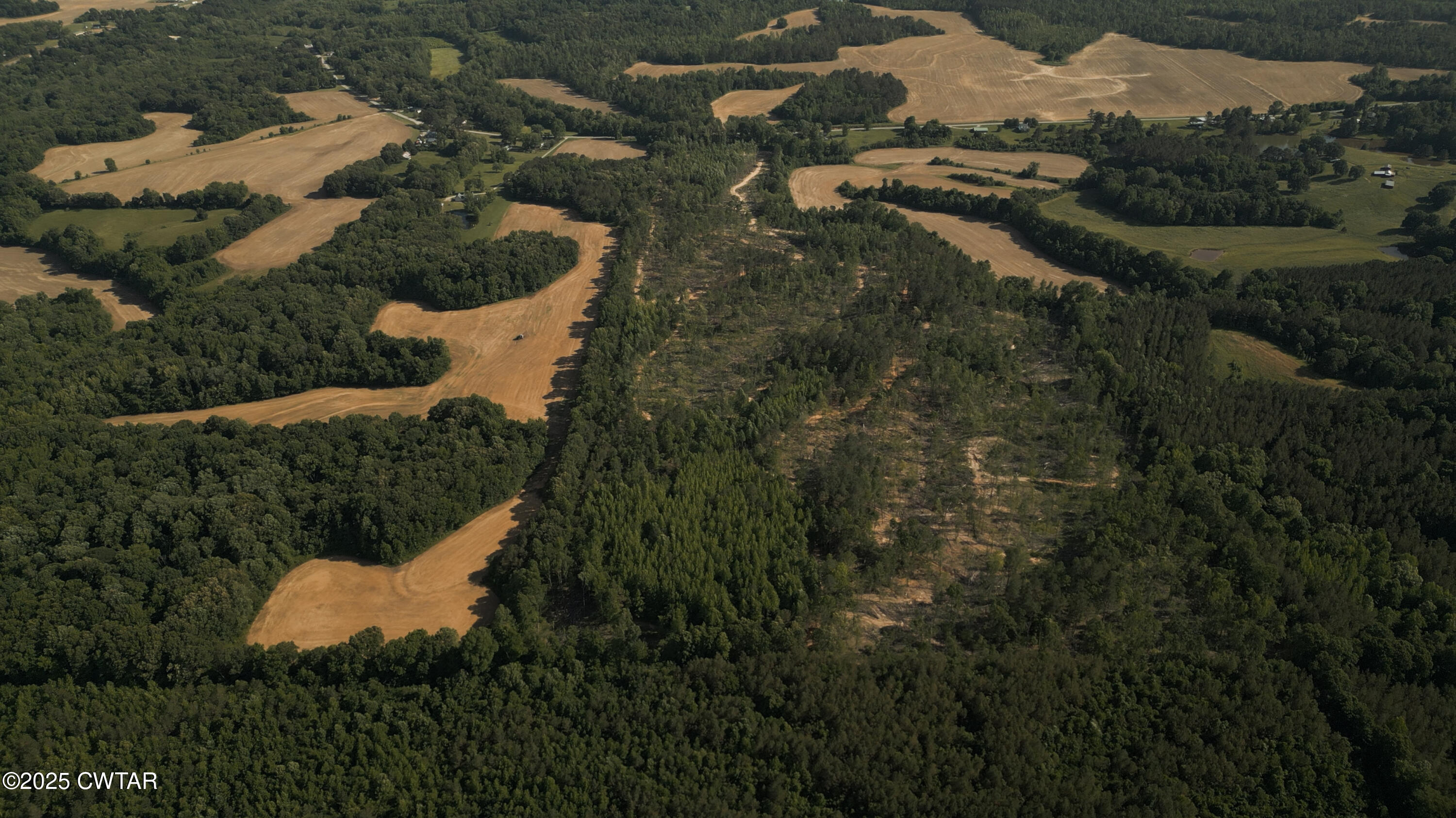 0 Collins Road Medon, TN 38356 - Photo 5 of 18 IMG_0161
