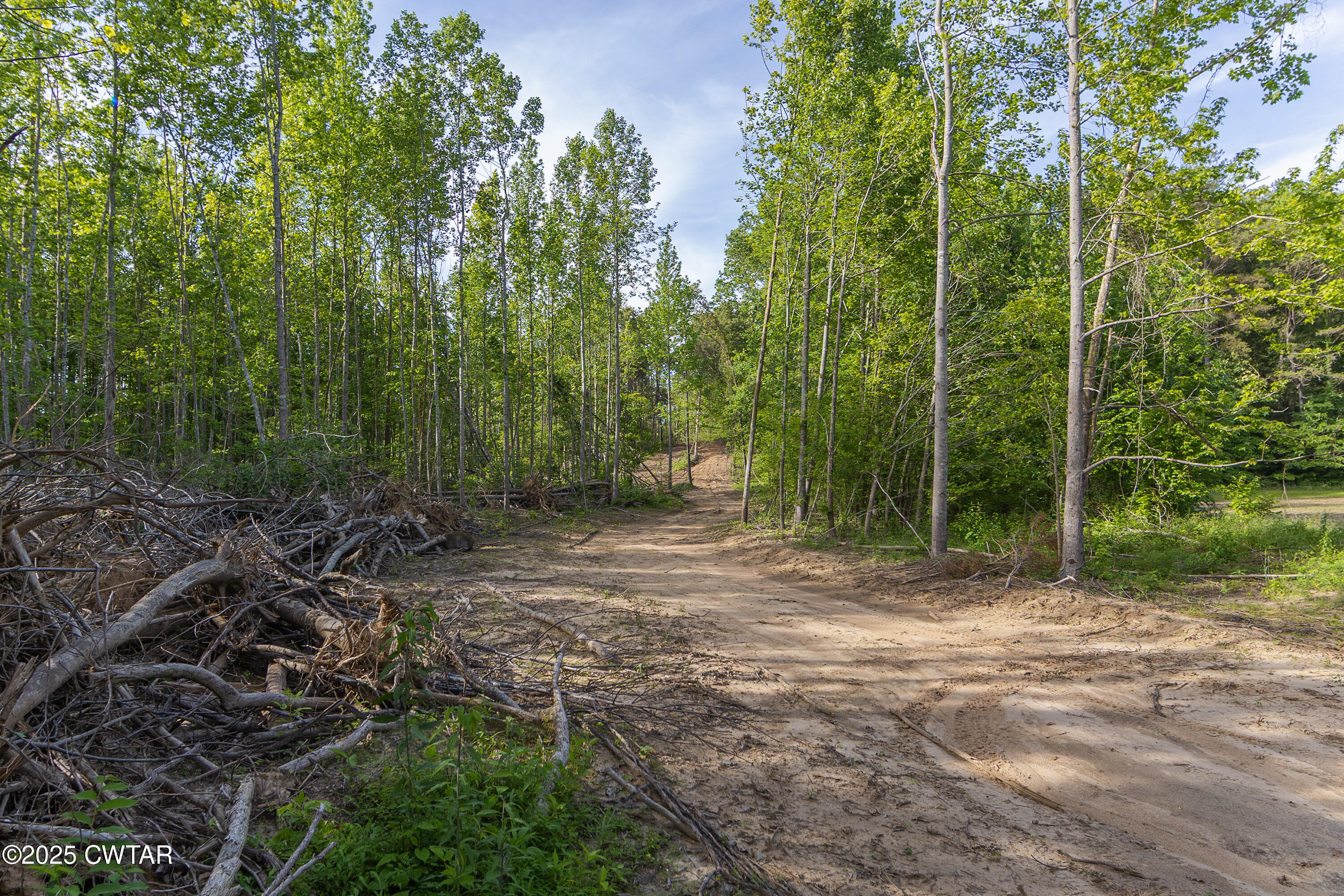 0 Collins Road Medon, TN 38356 - Photo 6 of 18 IMG_0144
