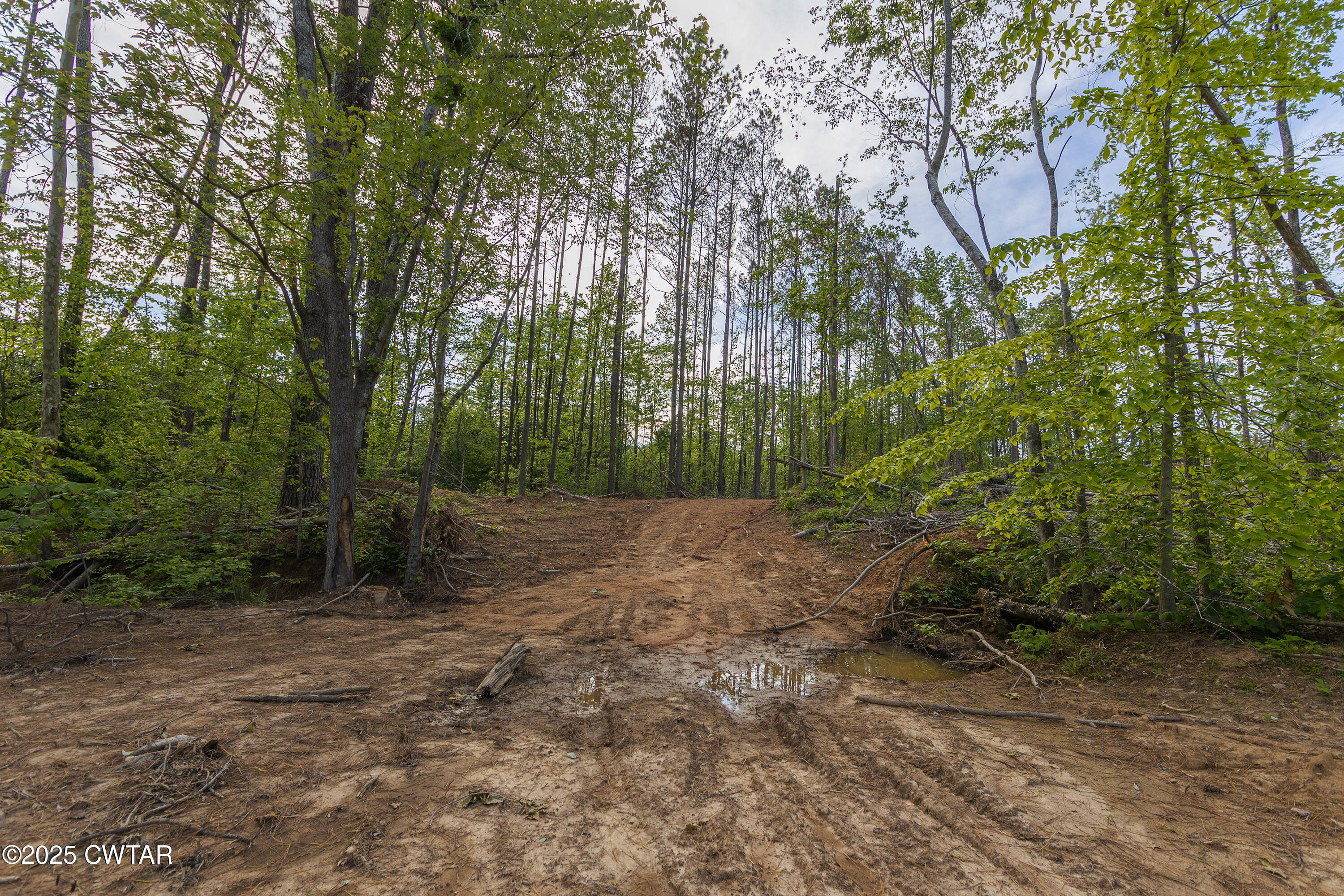 0 Collins Road Medon, TN 38356 - Photo 7 of 18 IMG_0184