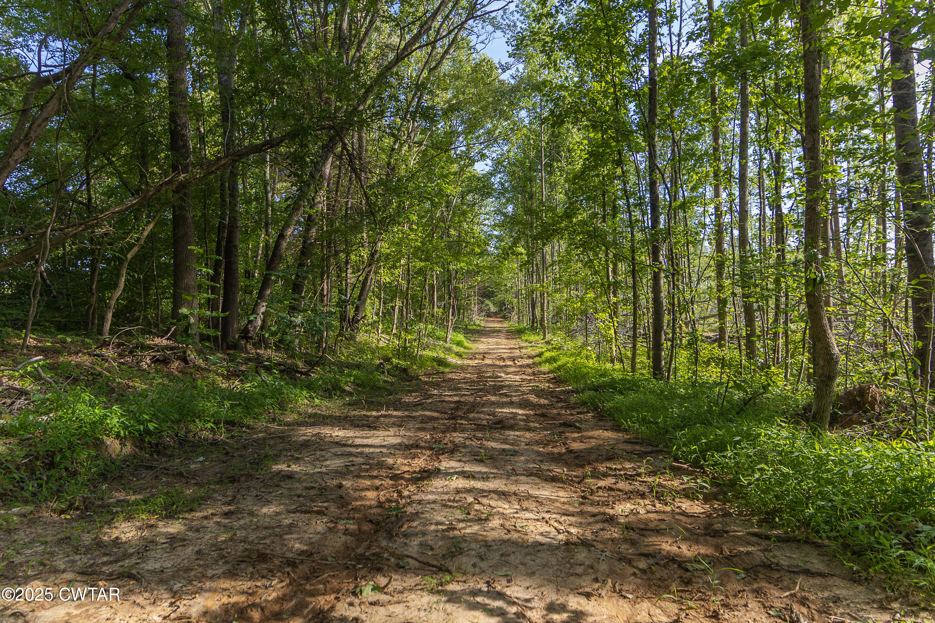 0 Collins Road Medon, TN 38356 - Photo 8 of 18 IMG_0135