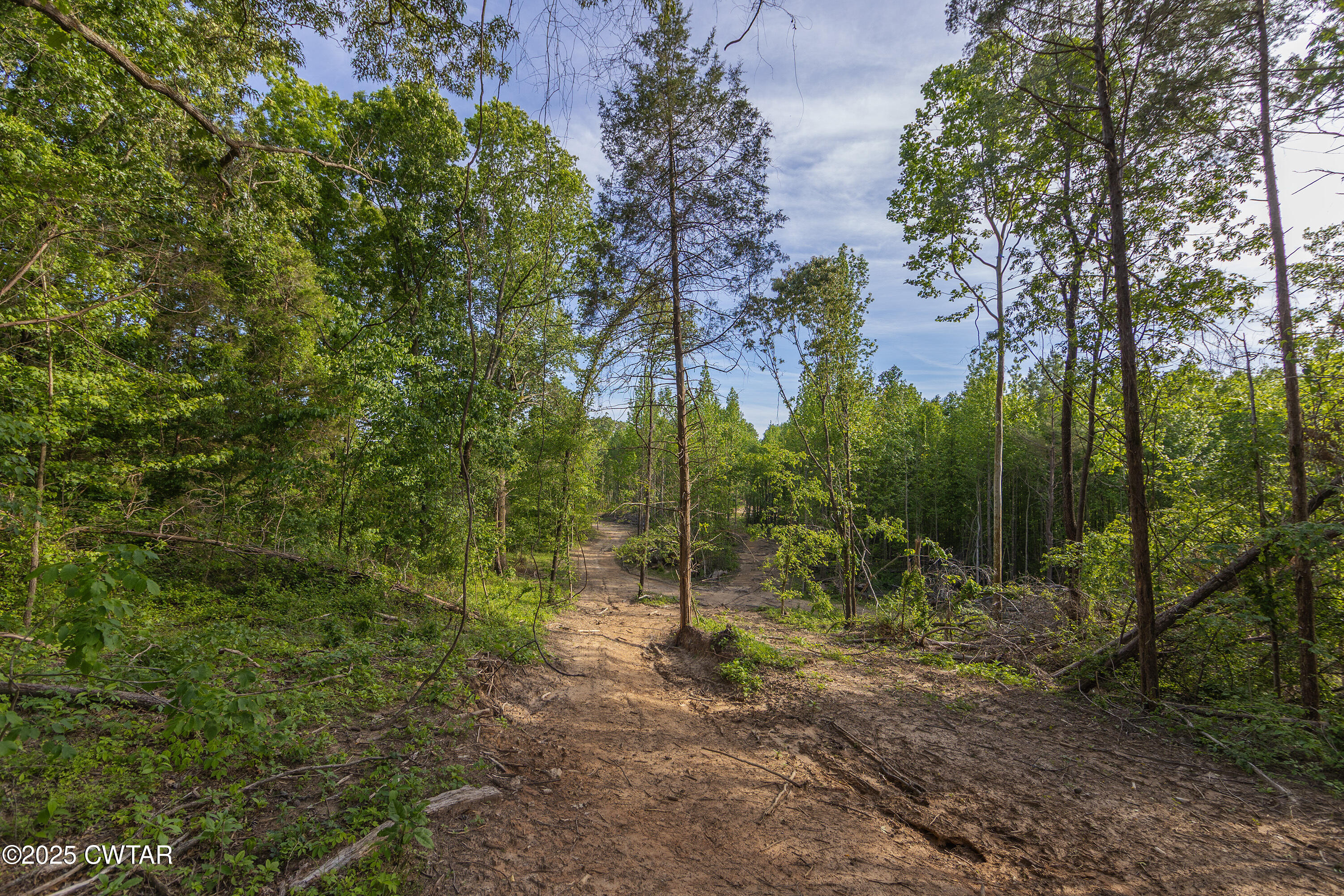 0 Collins Road Medon, TN 38356 - Photo 9 of 18 IMG_0159