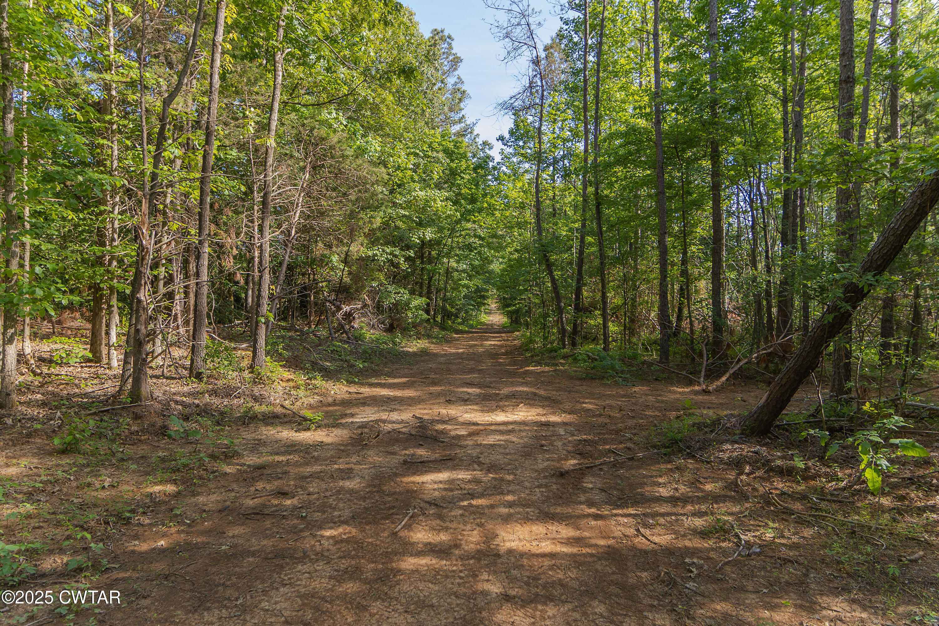 0 Collins Road Medon, TN 38356 - Photo 10 of 18 IMG_0148