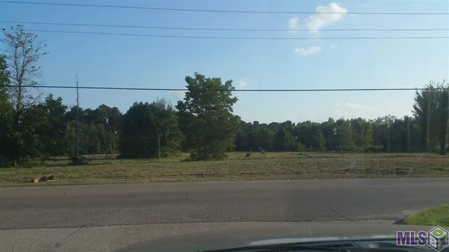 $2,188,877 | 13346 Pendarvis Lane, Walker, LA 70785