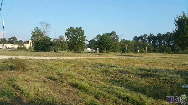 $2,188,877 | 13346 Pendarvis Lane, Walker, LA 70785