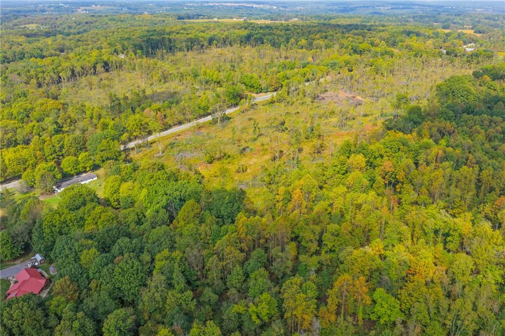 5673 Perry Highway Volant, PA 16156 - Photo 11 of 15 a view of a yard with an outdoor space