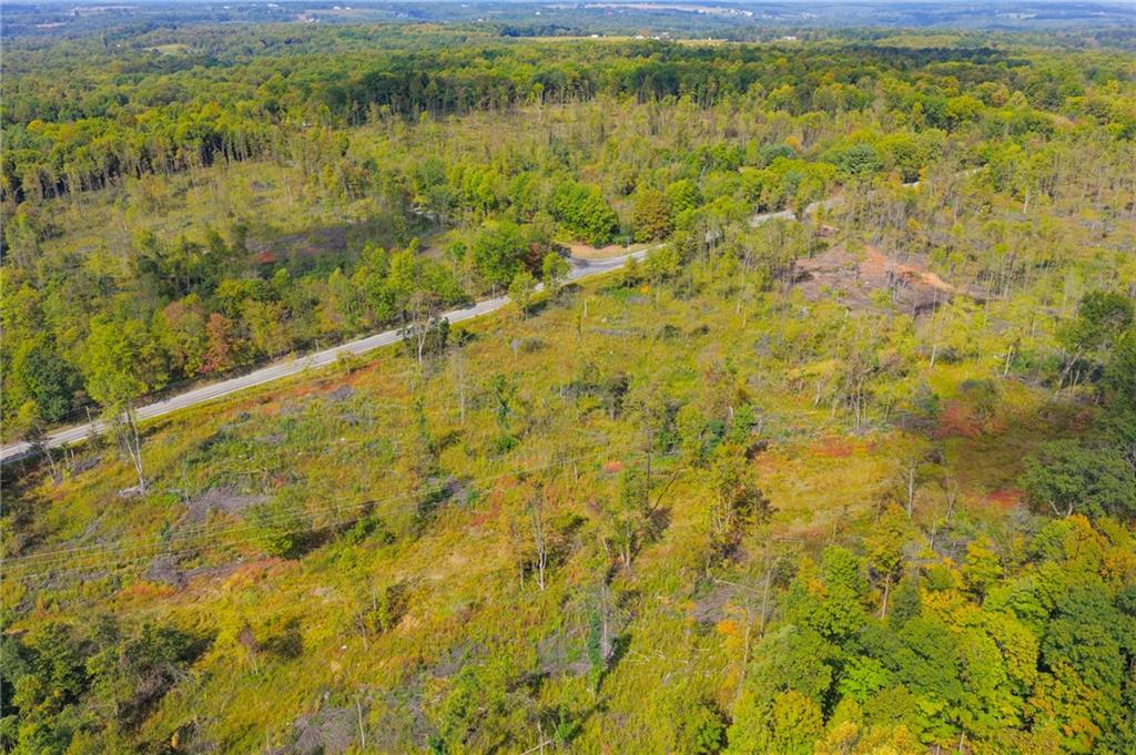 5673 Perry Highway Volant, PA 16156 - Photo 12 of 15 a view of a pathway both side of yard