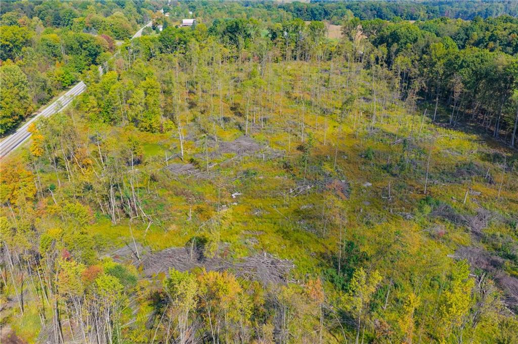 5673 Perry Highway Volant, PA 16156 - Photo 13 of 15 a view of residential walls plants and small trees