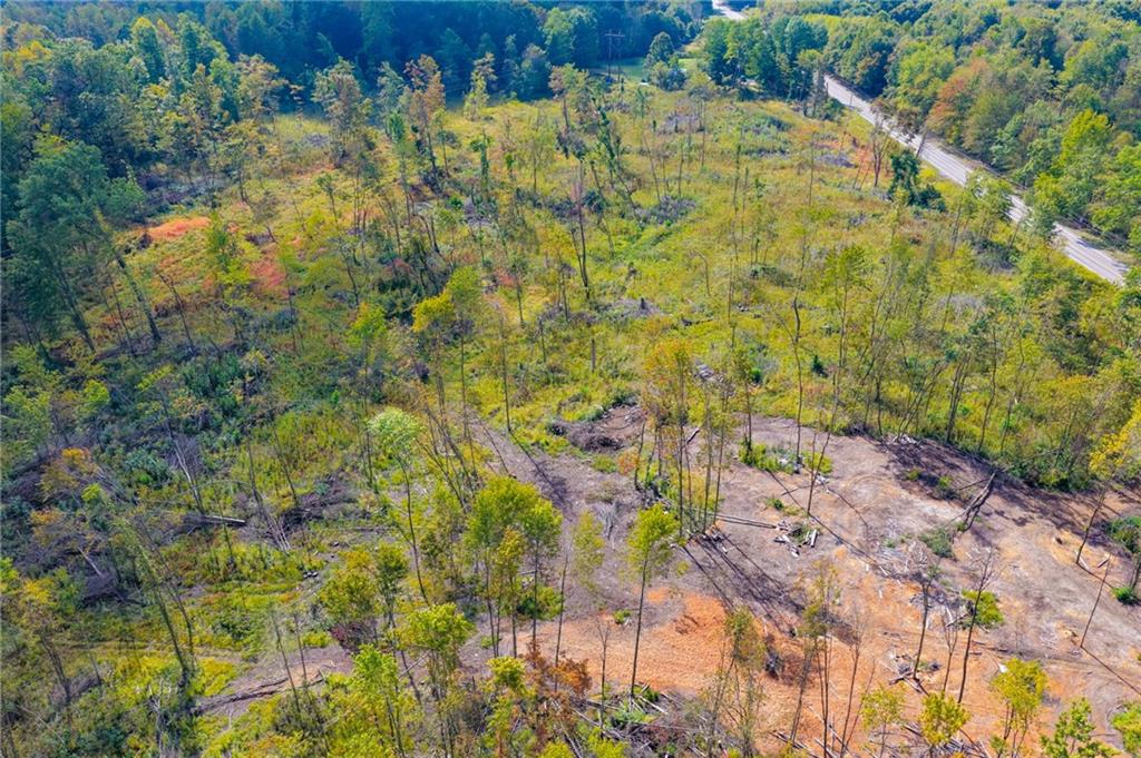 5673 Perry Highway Volant, PA 16156 - Photo 3 of 15 a aerial view of a house with a yard and large trees