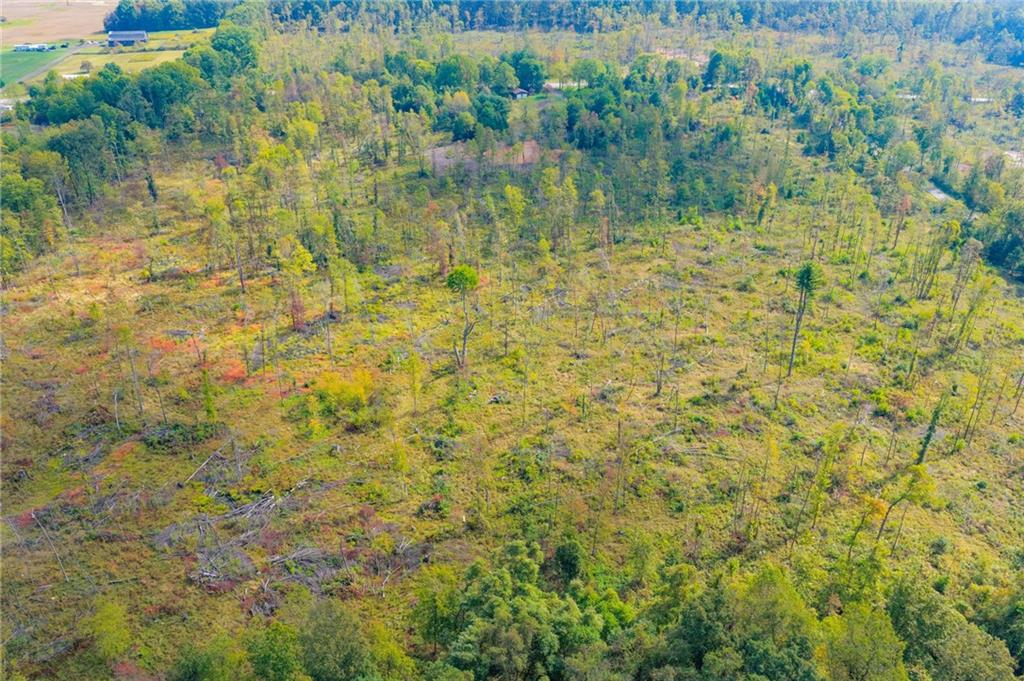 5673 Perry Highway Volant, PA 16156 - Photo 6 of 15 a view of a lake view