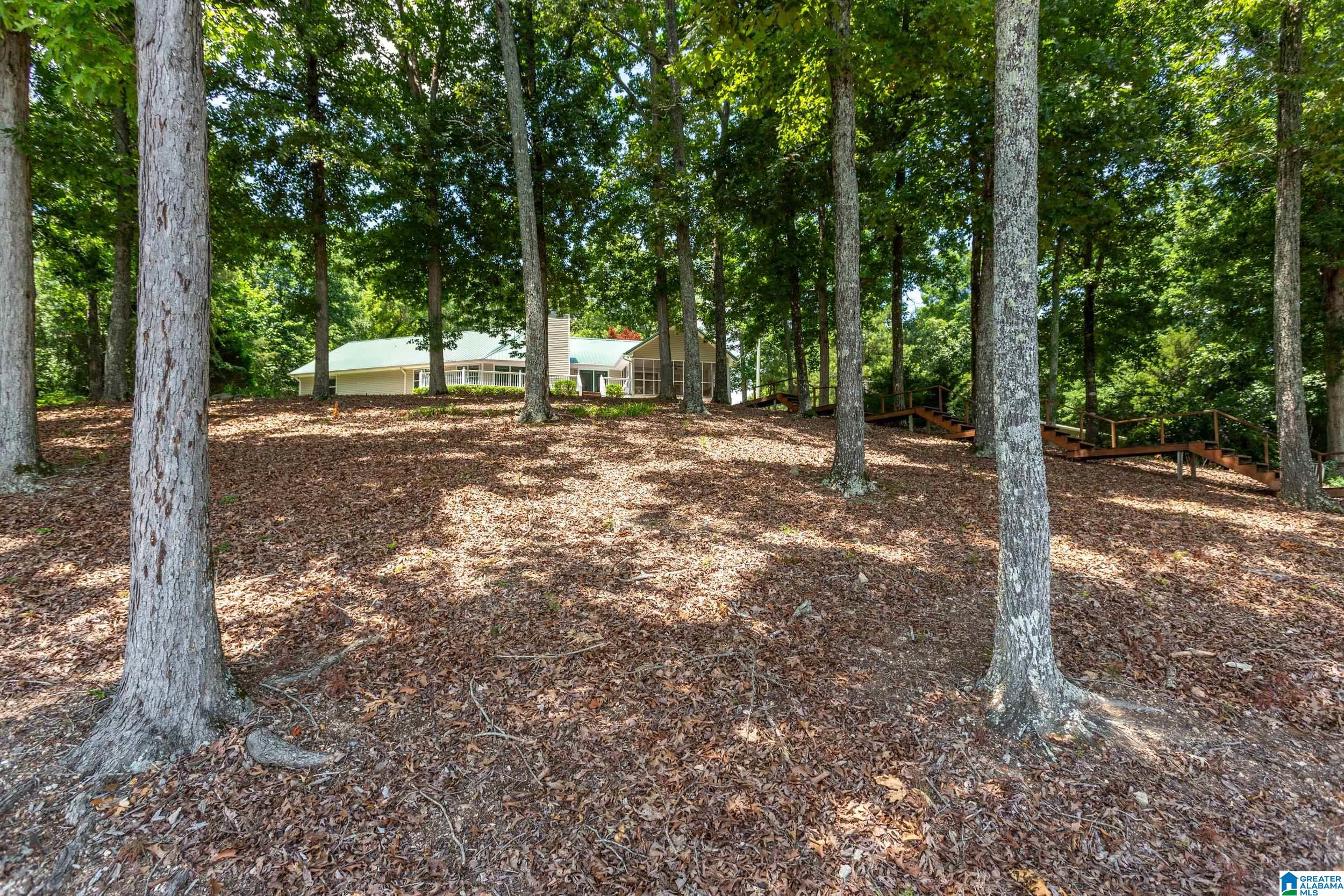3562 Griffitt Bend Road Talladega, AL 35160 - Photo 36 of 55