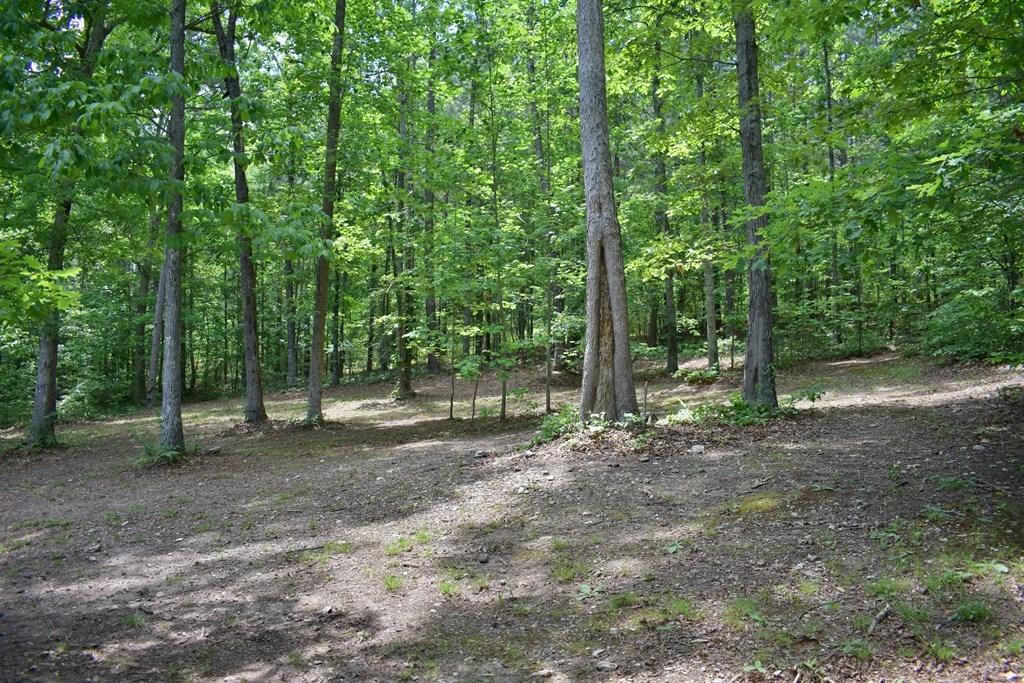 506 Sims Road Decatur, TN 37322 - Photo 22 of 36 26