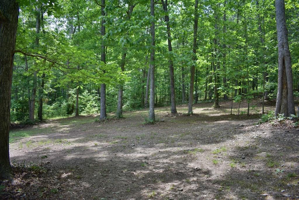 506 Sims Road Decatur, TN 37322 - Photo 23 of 36 27