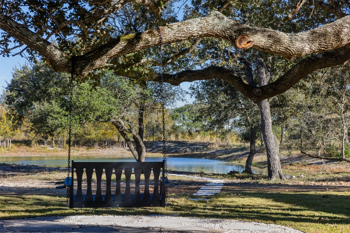 226 Hackemack Road Round Top, TX 78954 - Photo 9 of 50 a view of a yard with street view