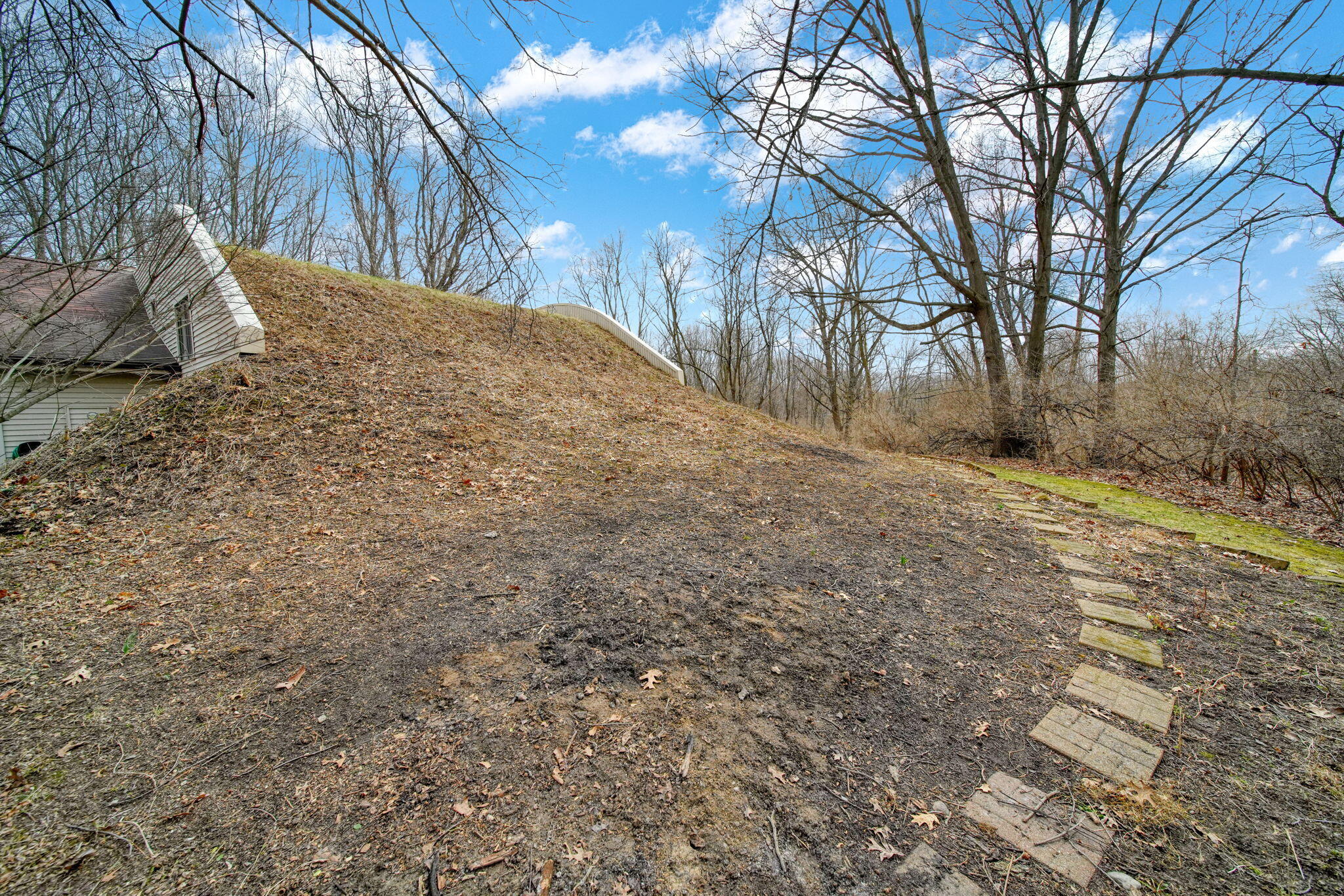 4711 Draper Road Jackson, MI 49203 - Photo 48 of 67 44-web-or-mls-DSC04203_HDR