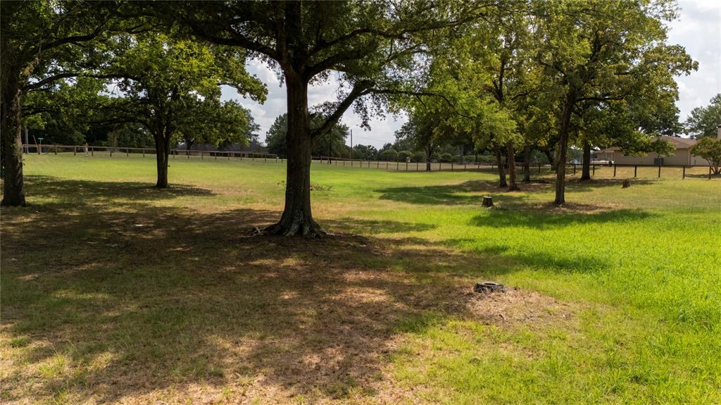 2301 Lakefront Shores Road Athens, TX 75752 - Photo 12 of 17 Gallery Image 12