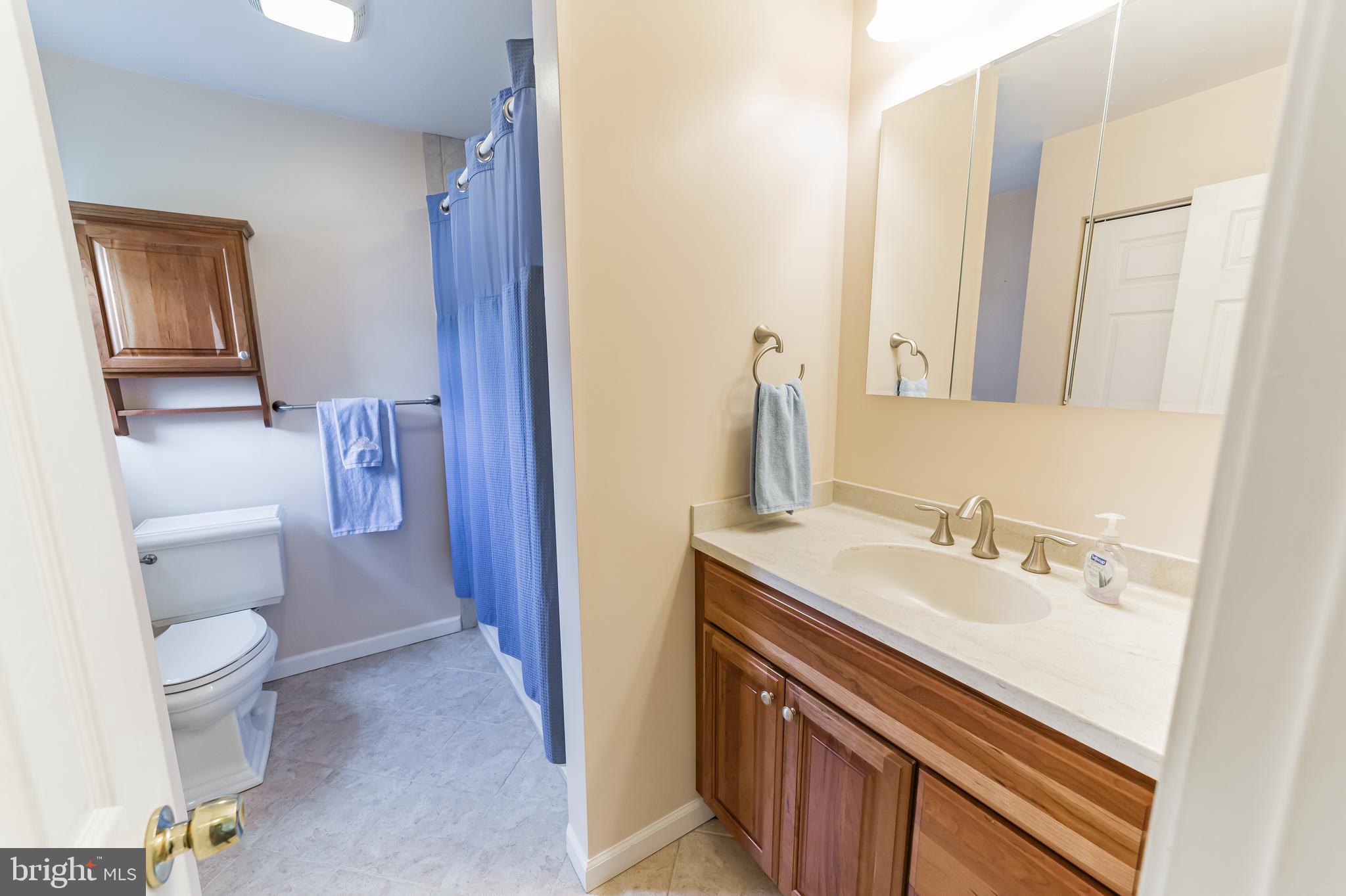 69 St Davids Road Springfield, PA 19064 - Photo 15 of 21 a bathroom with a sink a toilet and a mirror