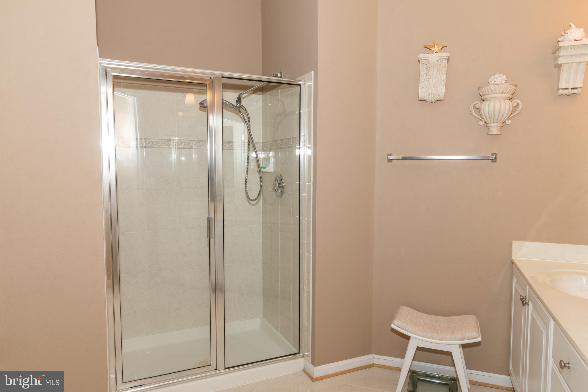 8600 Roaming Ridge Way, Unit 303 Odenton, MD 21113 - Photo 13 of 36 Primary Shower Stall