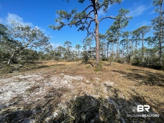 Tbd River Road Pensacola, FL 32507 - Photo 9 of 10