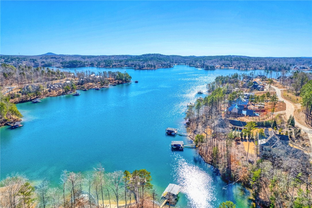 216 Piney Grove Point Sunset, SC 29685 - Photo 39 of 45