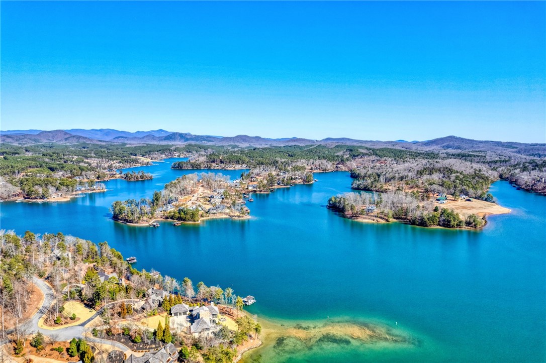 216 Piney Grove Point Sunset, SC 29685 - Photo 40 of 45