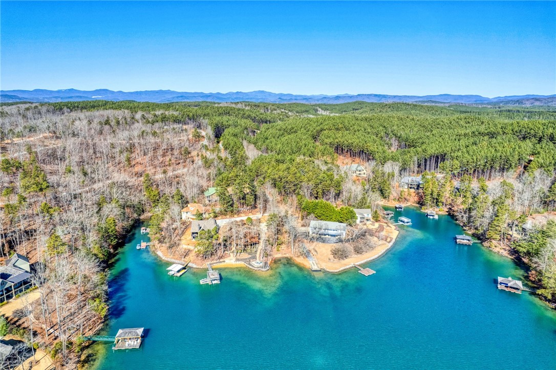 216 Piney Grove Point Sunset, SC 29685 - Photo 43 of 45