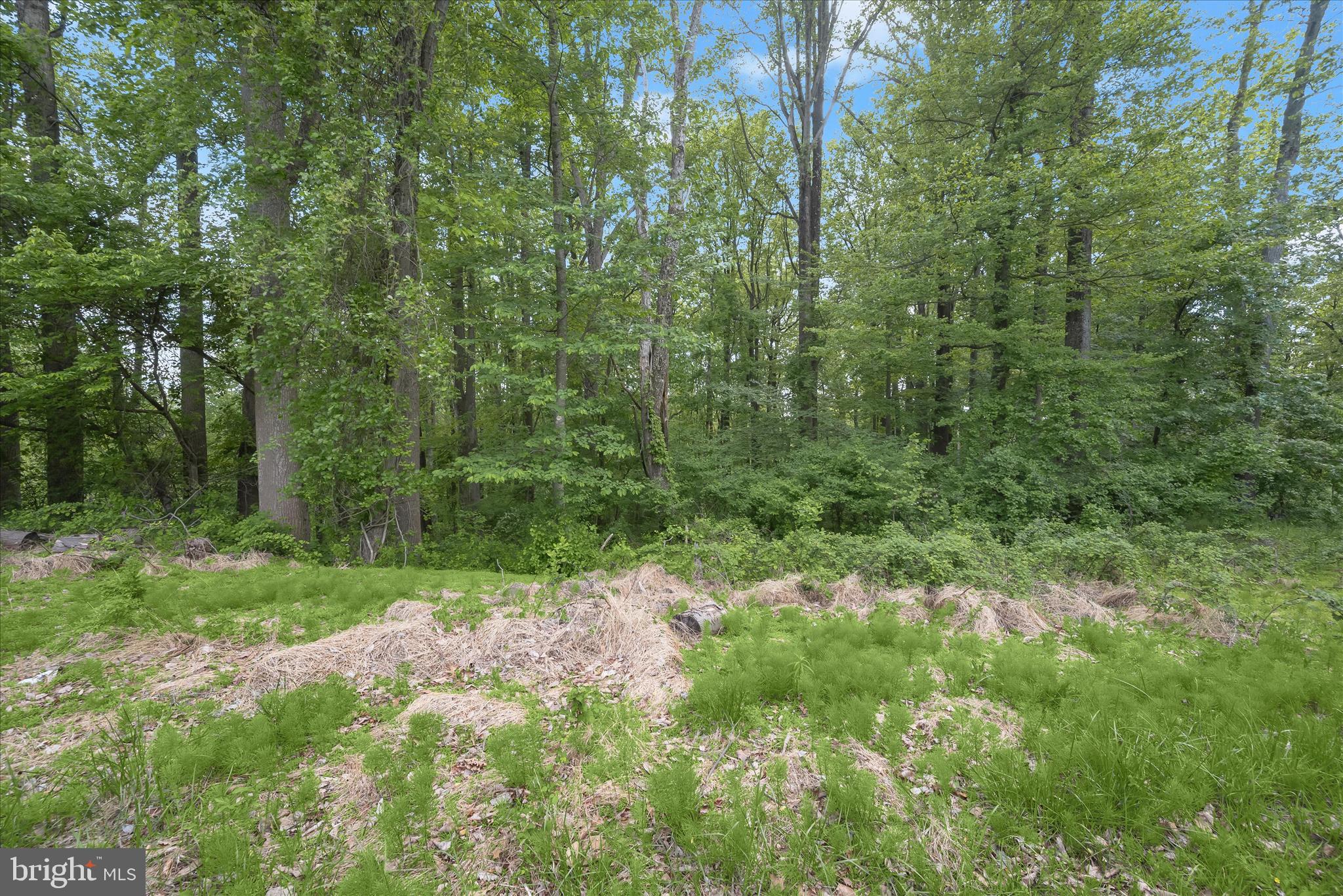 2994 Falls Run Road Randallstown, MD 21133 - Photo 7 of 12 Grounds