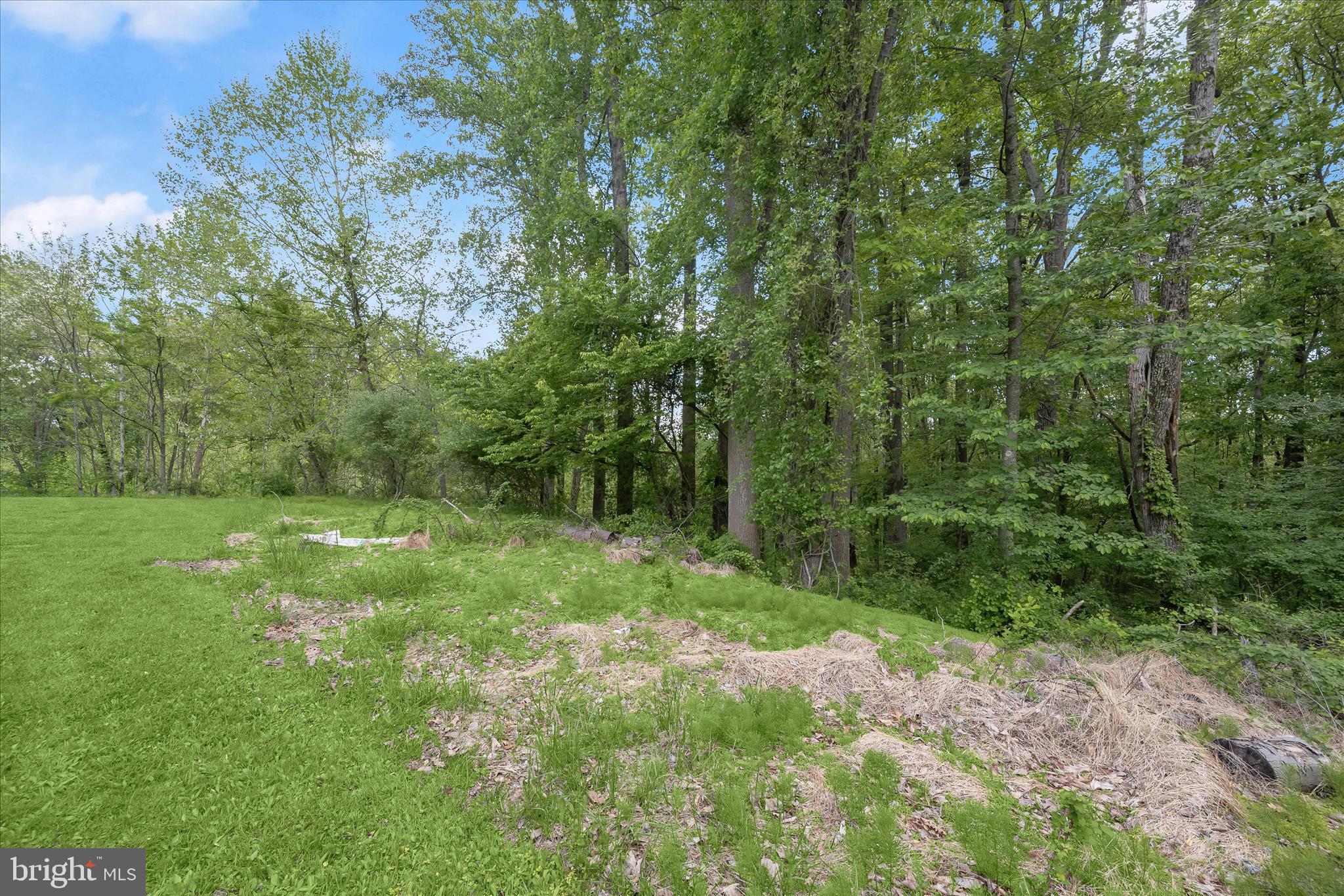 2994 Falls Run Road Randallstown, MD 21133 - Photo 8 of 12 Grounds