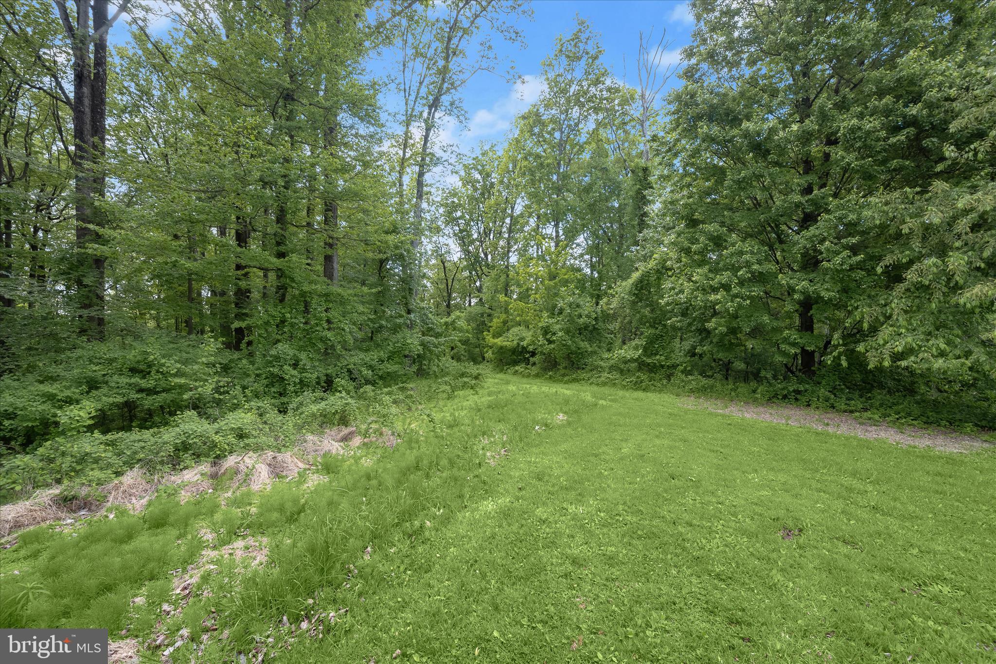 2994 Falls Run Road Randallstown, MD 21133 - Photo 9 of 12 Grounds