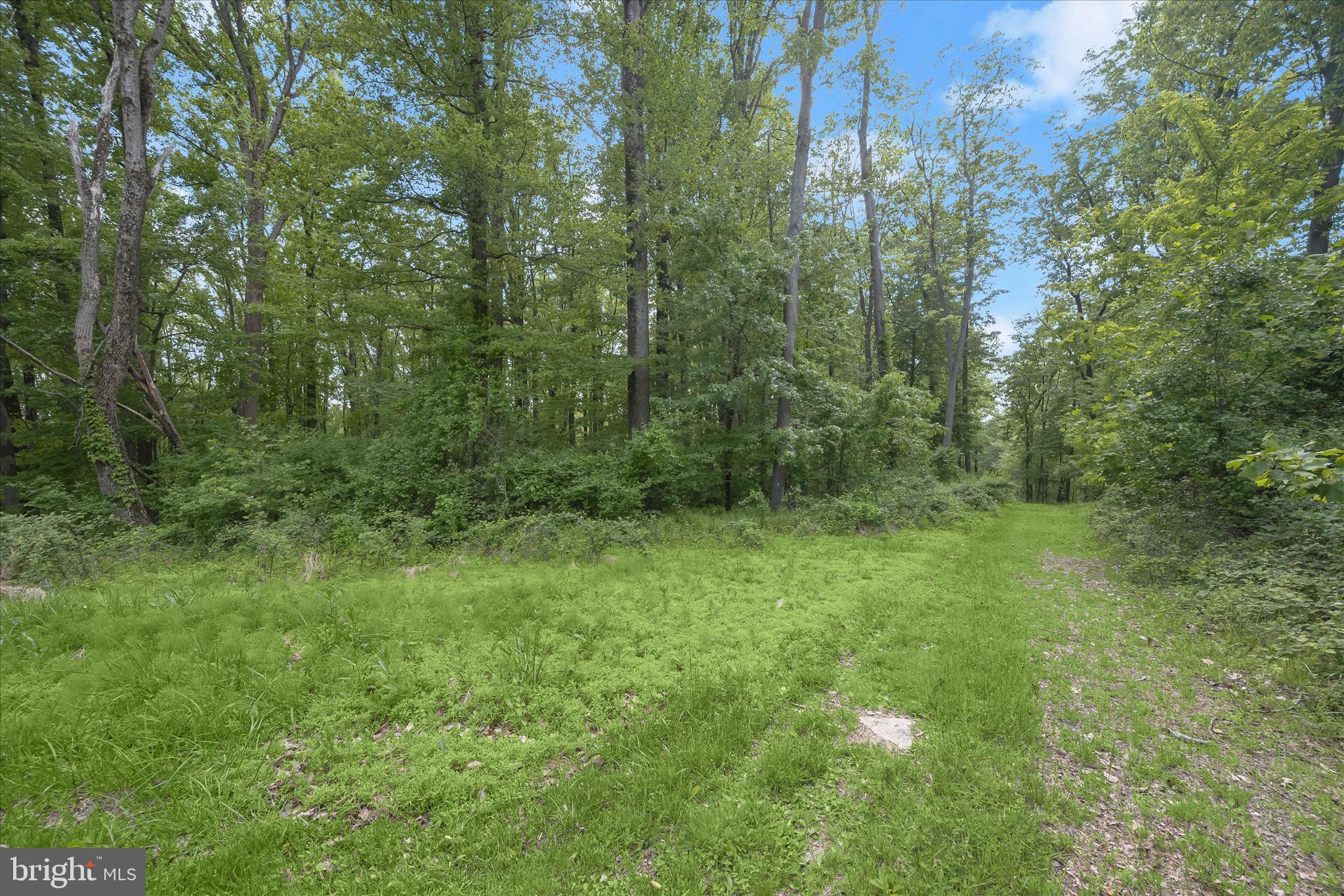 2994 Falls Run Road Randallstown, MD 21133 - Photo 10 of 12 Grounds