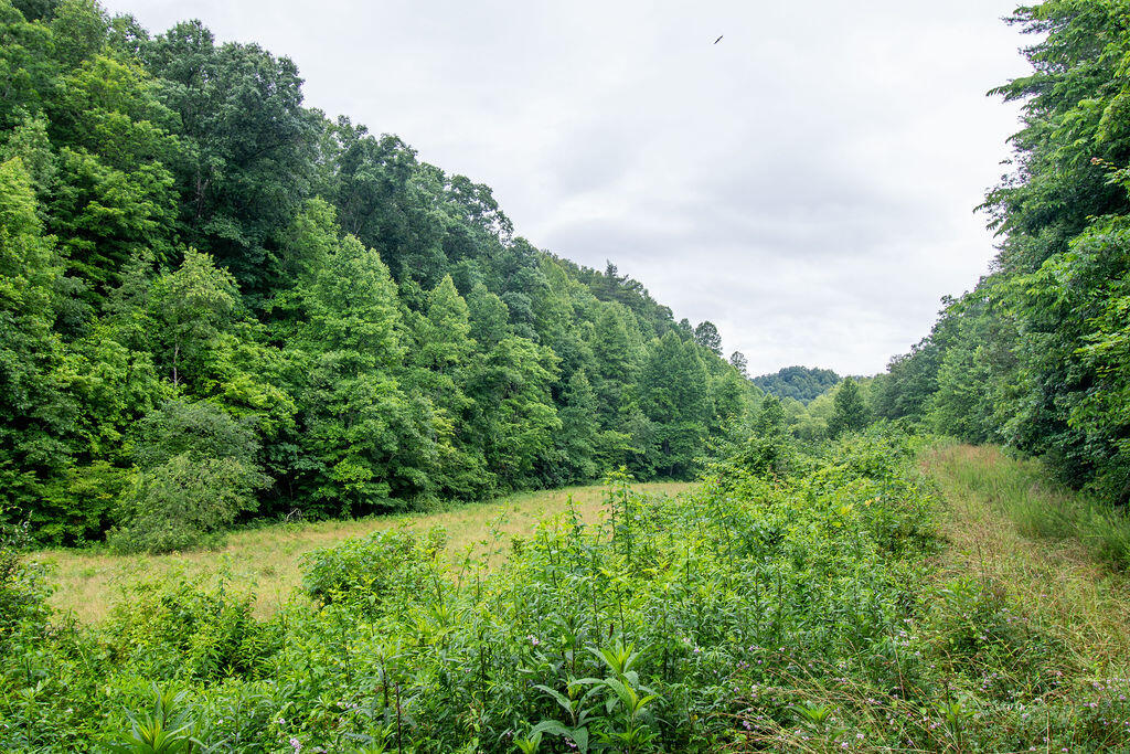 0 R R Vancleve Road Campton, KY 41301 - Photo 13 of 22 DSC_1790