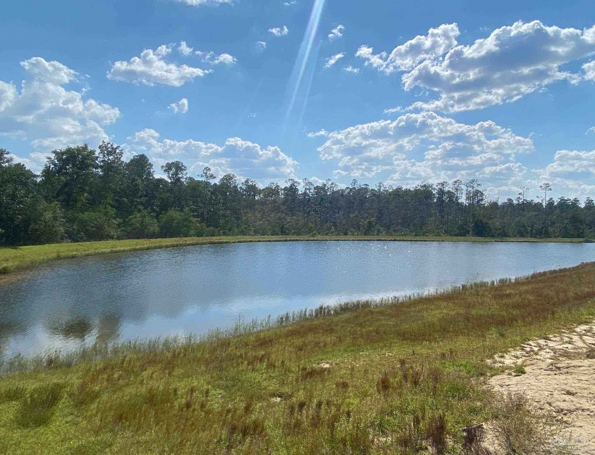 10889 Blacktail Loop Pensacola, FL 32526 - Photo 37 of 48