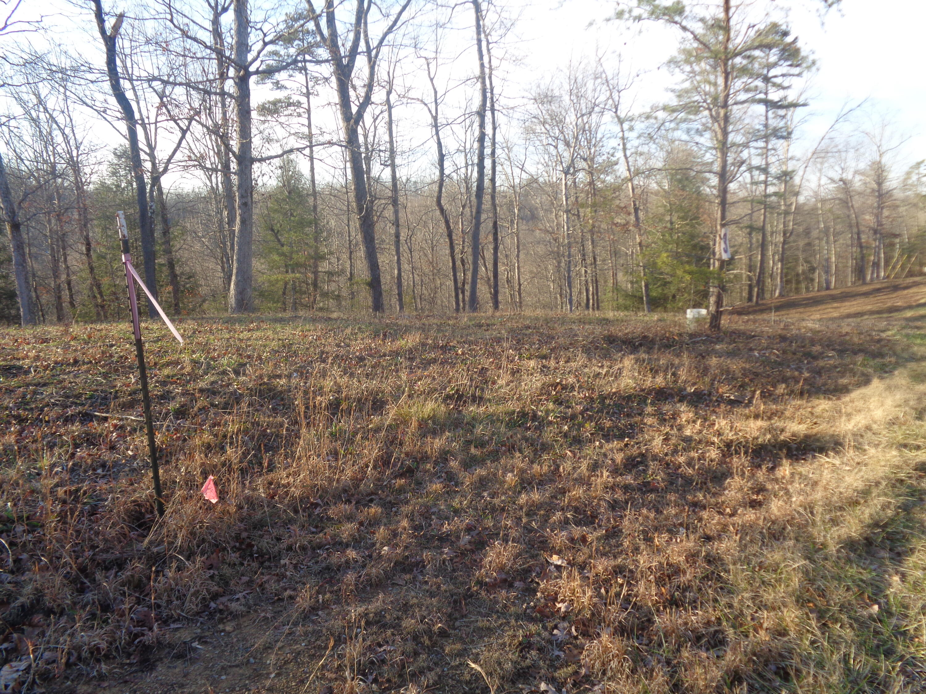 Lot 3 Fount Hubbard Road London, KY 40741 - Photo 5 of 25 DSC07473