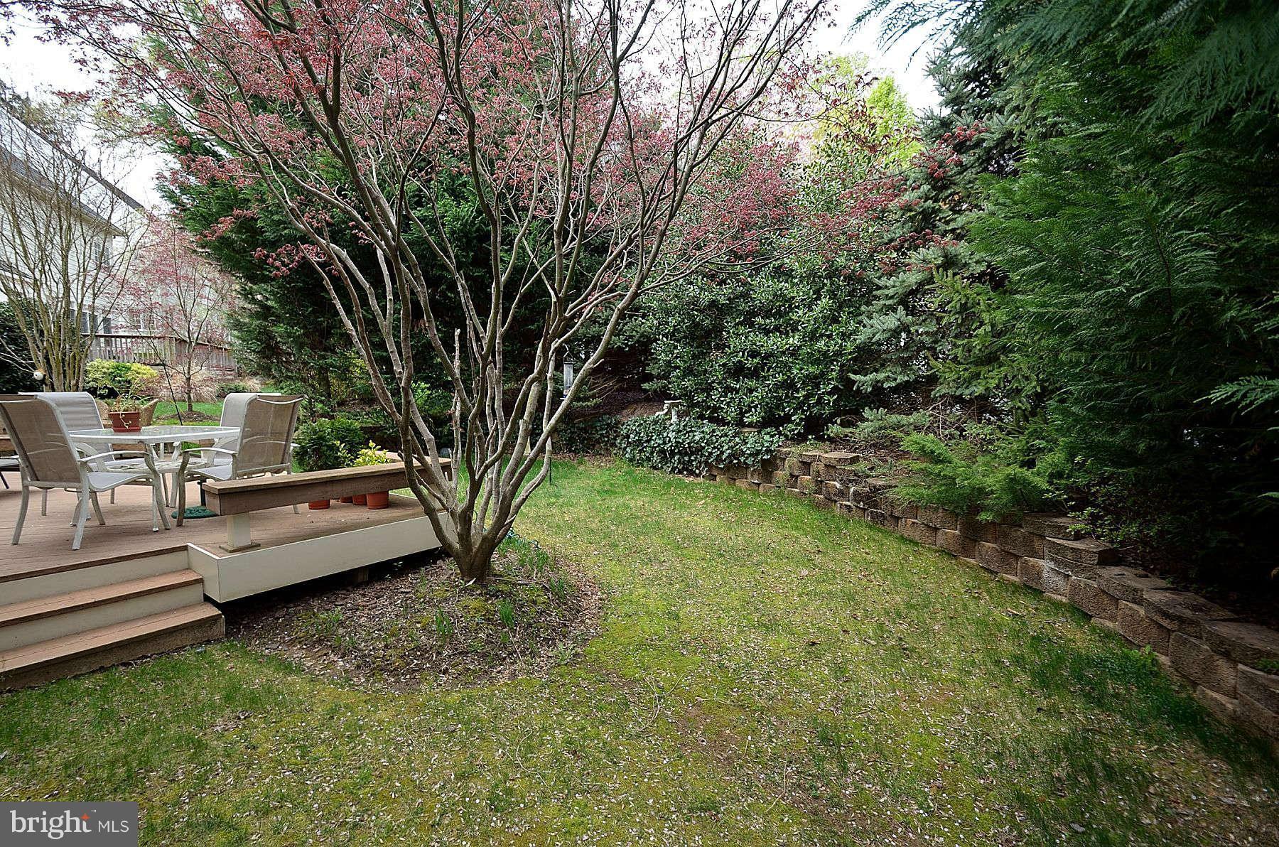 5437 Alta Vista Road Bethesda, MD 20814 - Photo 30 of 30 Exterior (Rear)