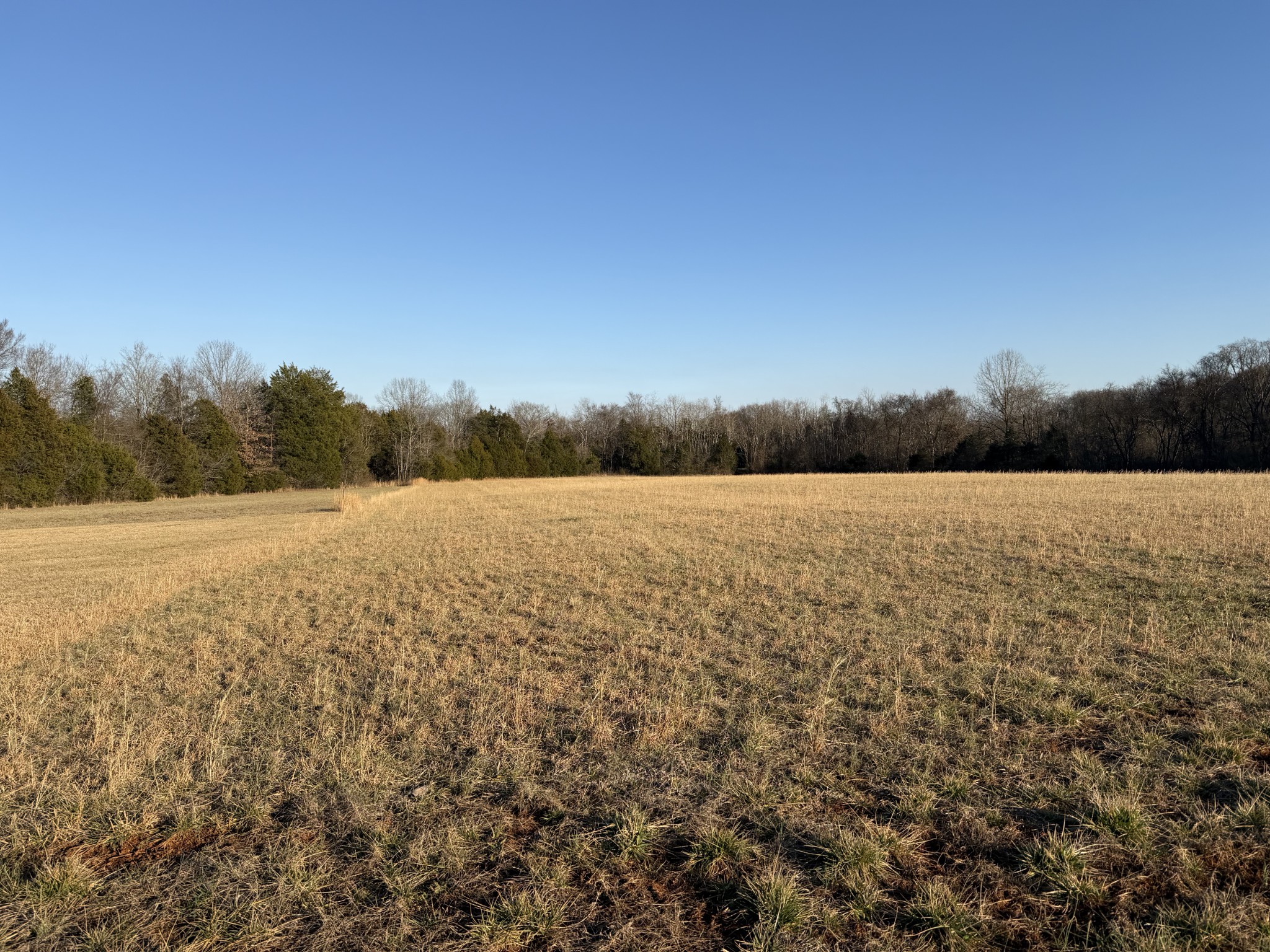 1166 Halls Mill Road Unionville, TN 37180 - Photo 2 of 4 a view of lake and mountain