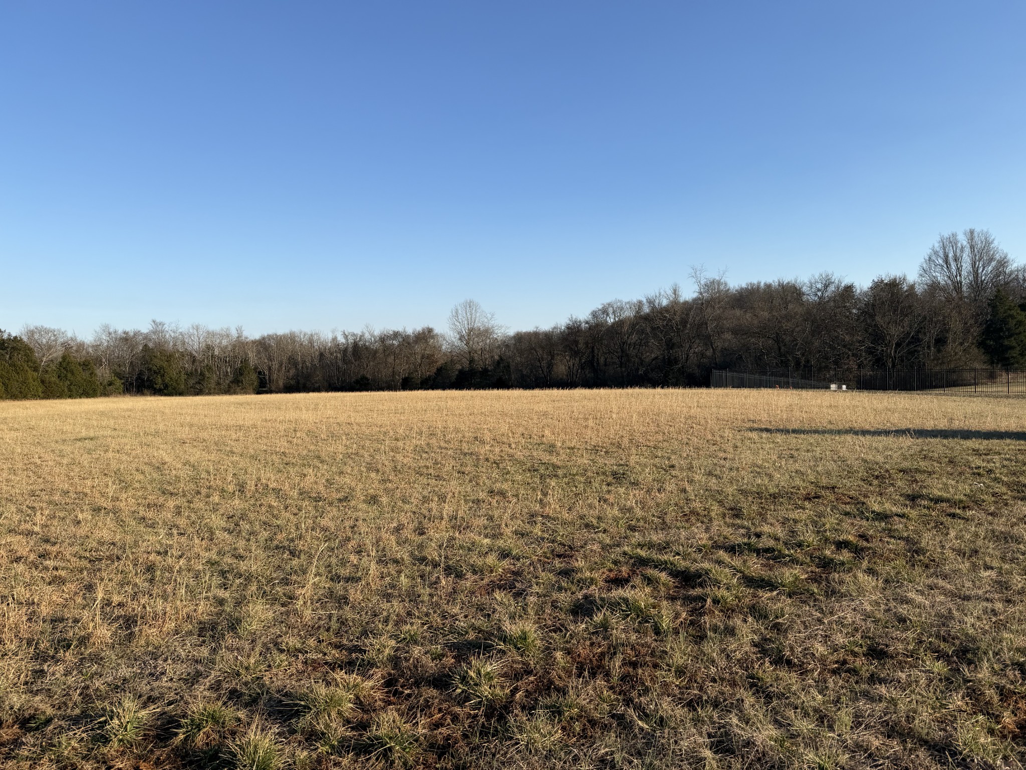 1166 Halls Mill Road Unionville, TN 37180 - Photo 3 of 4 a view of outdoor space and mountain view