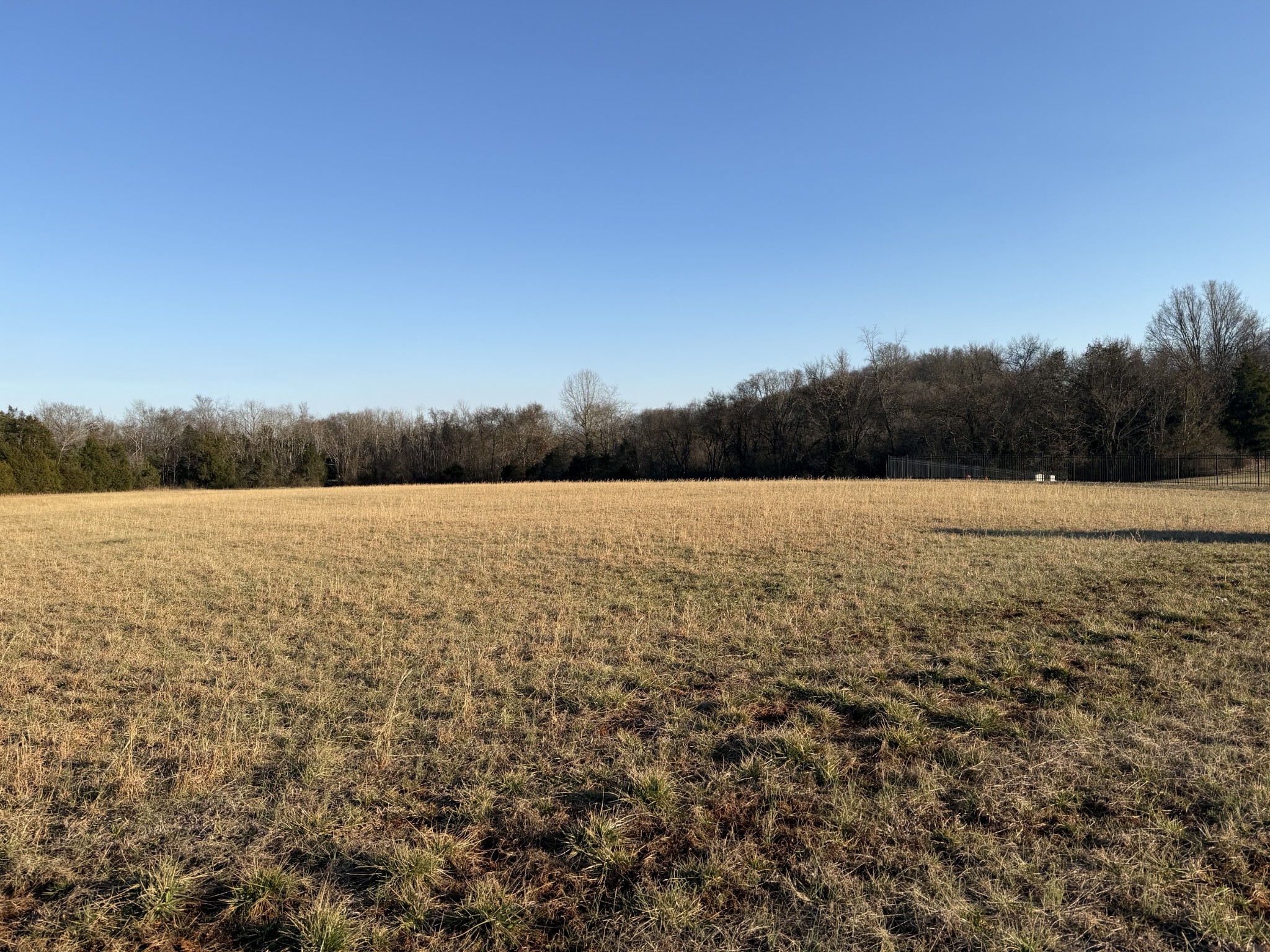1166 Halls Mill Road Unionville, TN 37180 - Photo 4 of 4 a view of lake and mountain