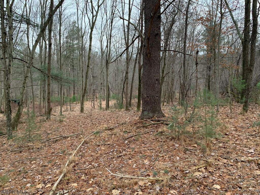 27.9-ac Sandy Run Road Hopewell, PA 16650 - Photo 17 of 33 Gallery Image 17
