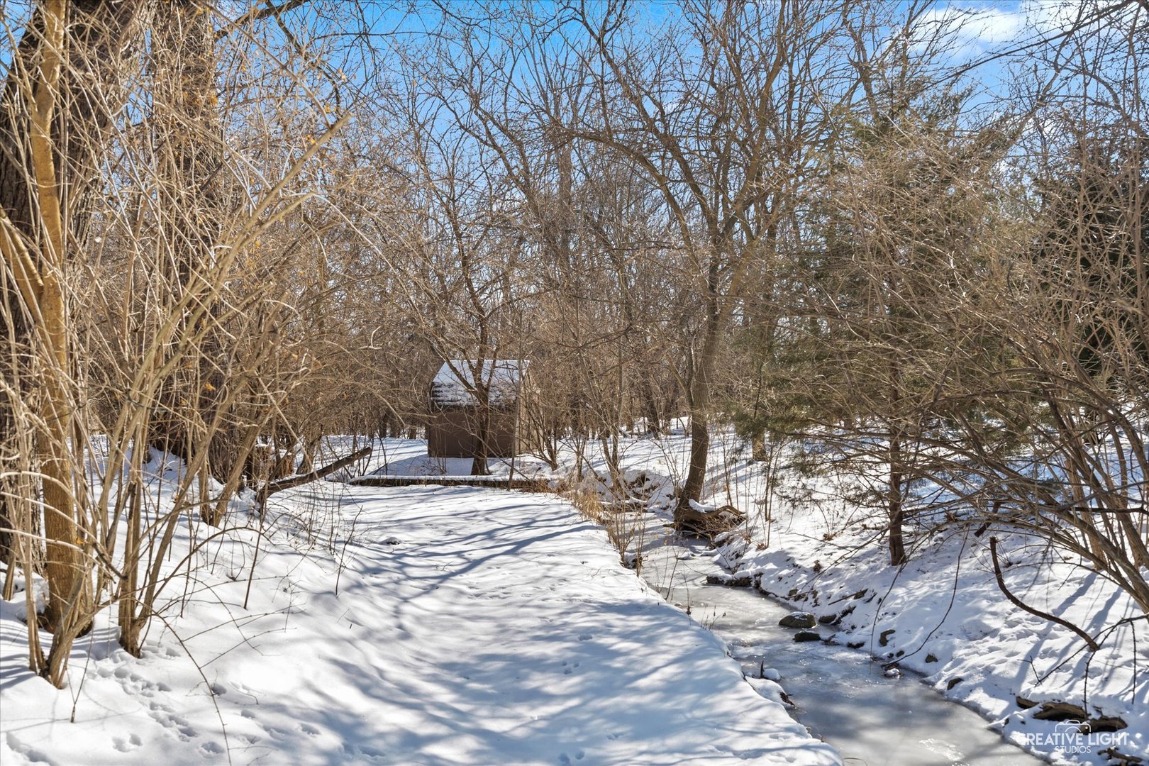 5S621 Radcliff Road Naperville, IL 60563 - Photo 3 of 27 a view of empty space with trees