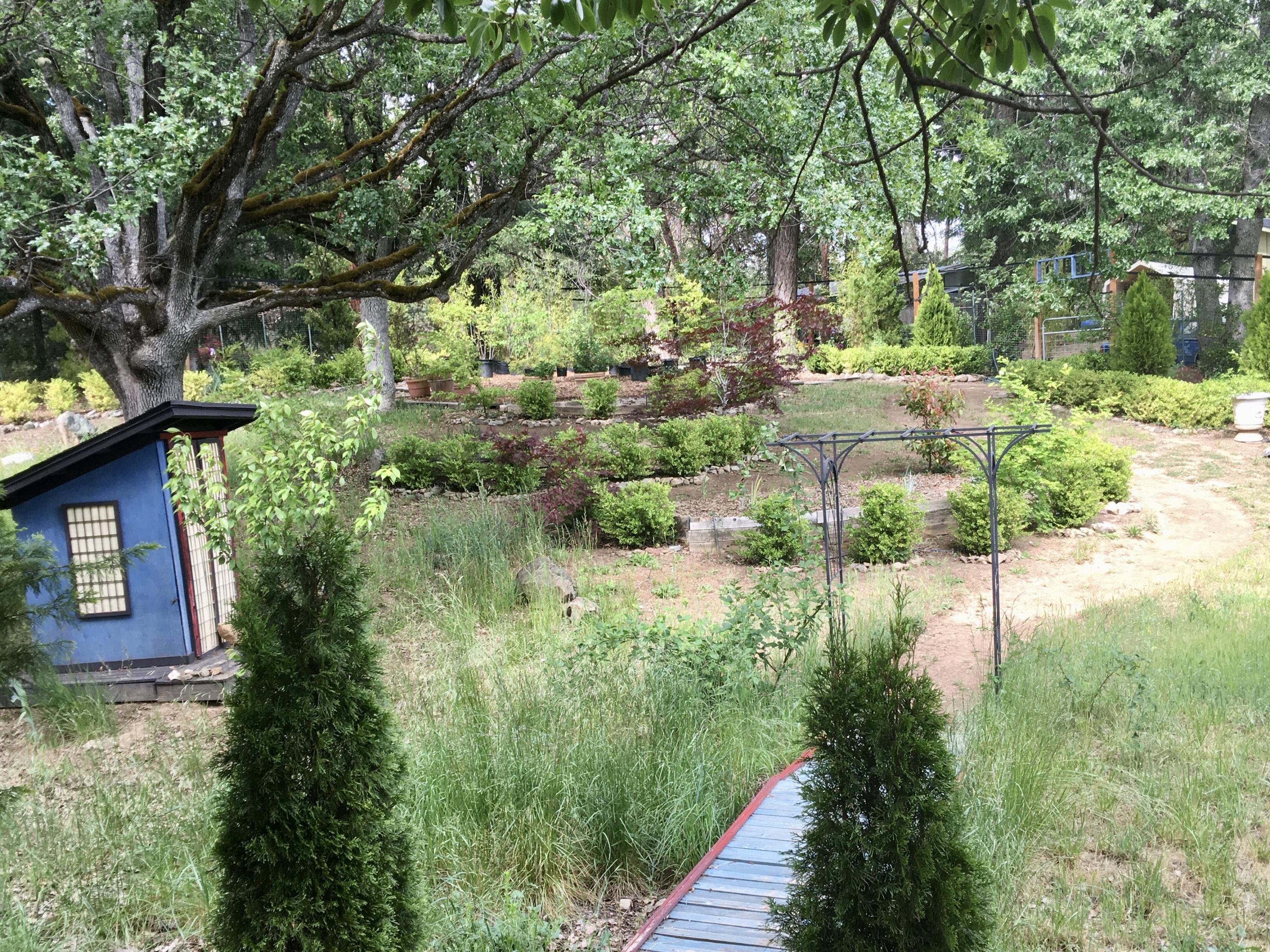 7620 Upper Applegate Road Jacksonville, OR 97530 - Photo 32 of 44 Japanese Garden