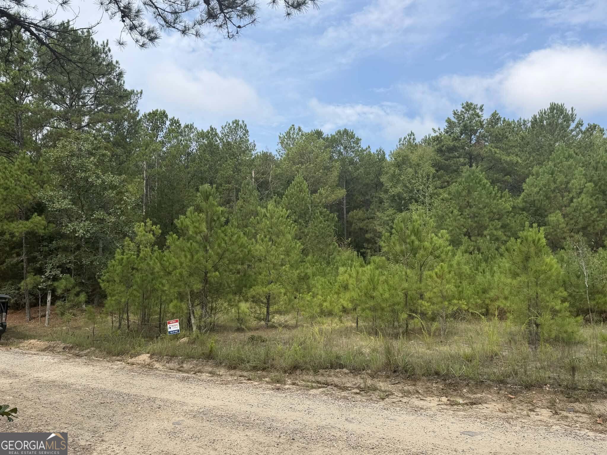 0 Smith Mill Road Monticello, GA 31064 - Photo 3 of 10 Gallery Image 3