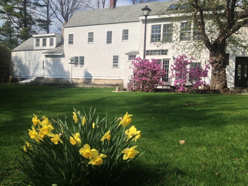 6 Babbidge Road Falmouth, ME 04105 - Photo 2 of 29 Back Yard