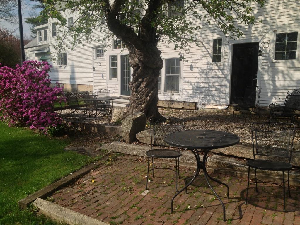 6 Babbidge Road Falmouth, ME 04105 - Photo 4 of 29 Back Yard