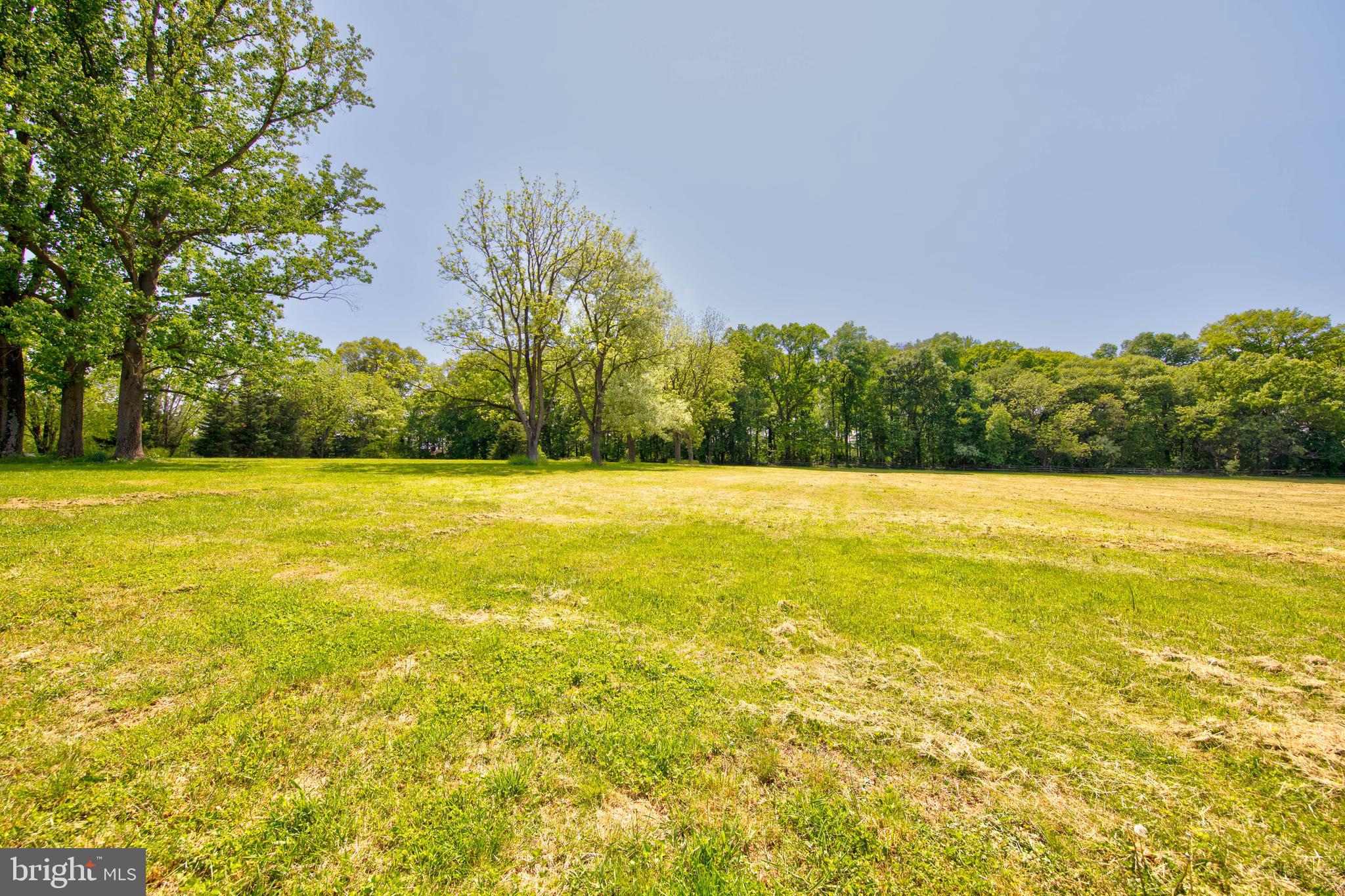 3650 Ady Road Street, MD 21154 - Photo 36 of 40 Backs to trees