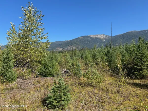$168,500 | 4 Usfs 2294 Clark Fork, Clark Fork, ID 83811