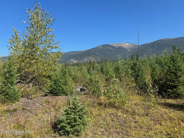 $168,500 | 4 Usfs 2294 Clark Fork, Clark Fork, ID 83811