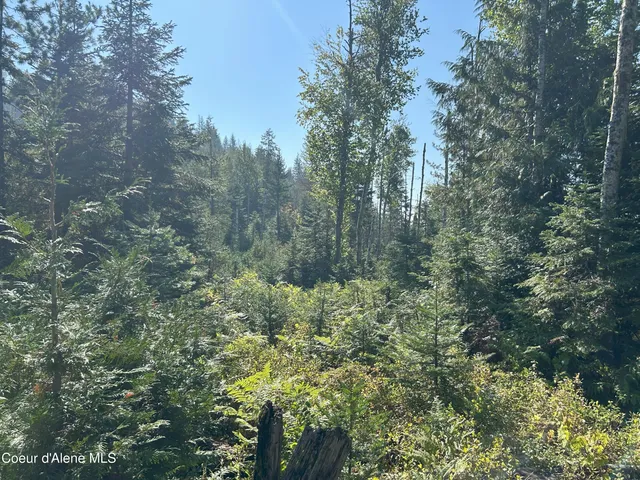$168,500 | 4 Usfs 2294 Clark Fork, Clark Fork, ID 83811