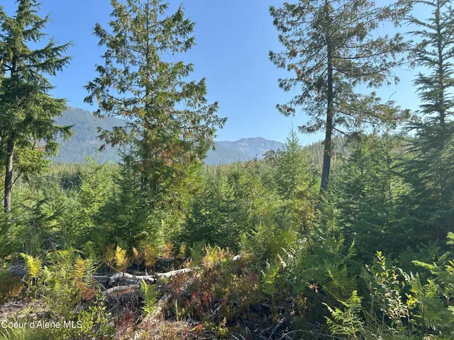 $168,500 | 4 Usfs 2294 Clark Fork, Clark Fork, ID 83811
