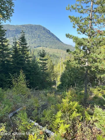 $168,500 | 4 Usfs 2294 Clark Fork, Clark Fork, ID 83811