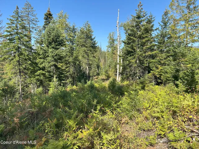 $168,500 | 4 Usfs 2294 Clark Fork, Clark Fork, ID 83811