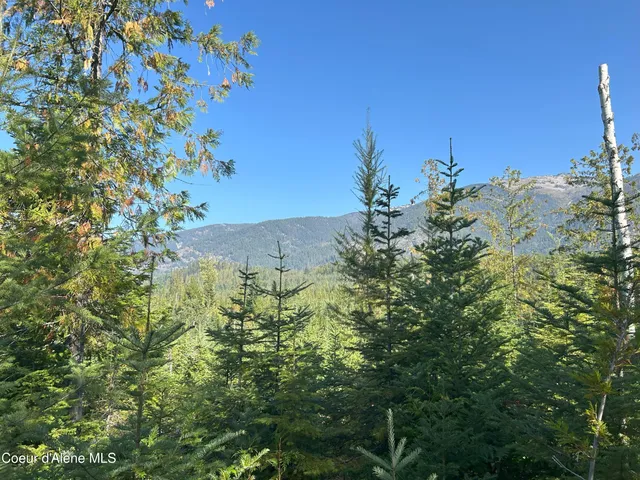 $168,500 | 4 Usfs 2294 Clark Fork, Clark Fork, ID 83811